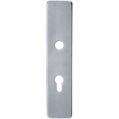 Stainless Steel Handle Plate